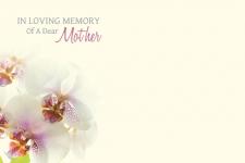 of a Dear Mother