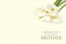 of a Dear Brother